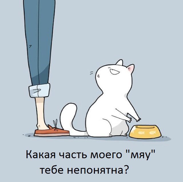 Что непонятно