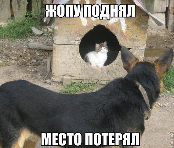 Место потерял