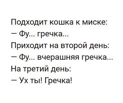 Кошка и гречка