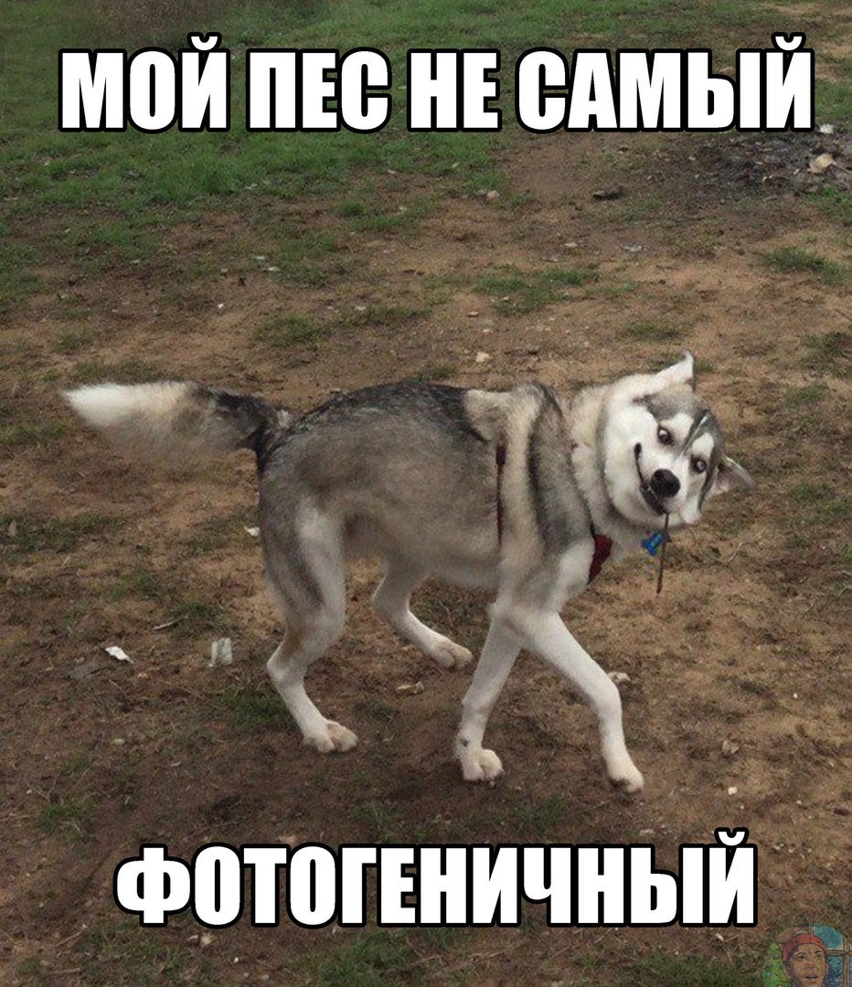 Не самый фотогеничный