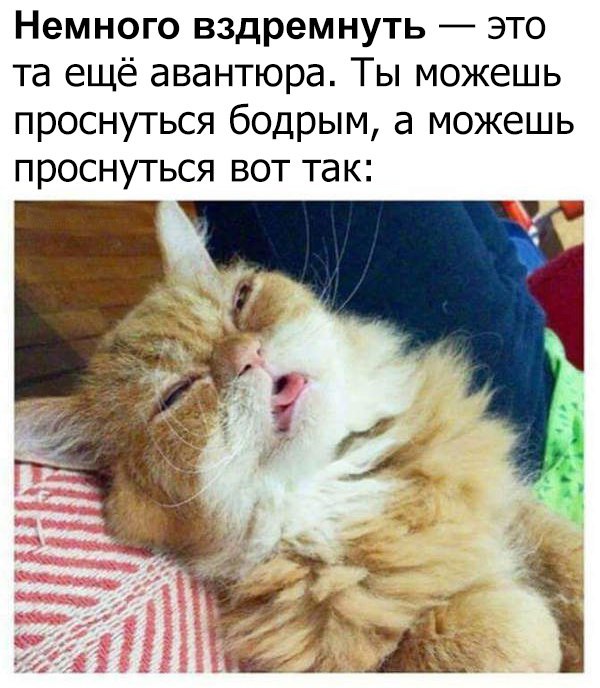 Немного вздремнуть