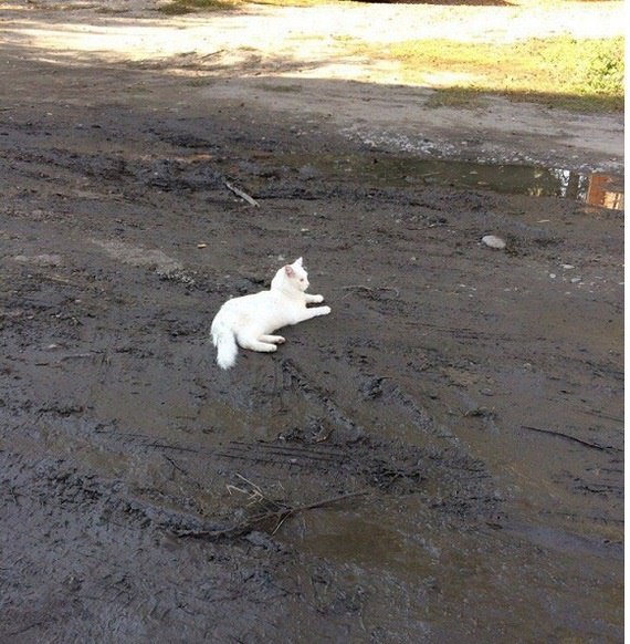 На это больно смотреть