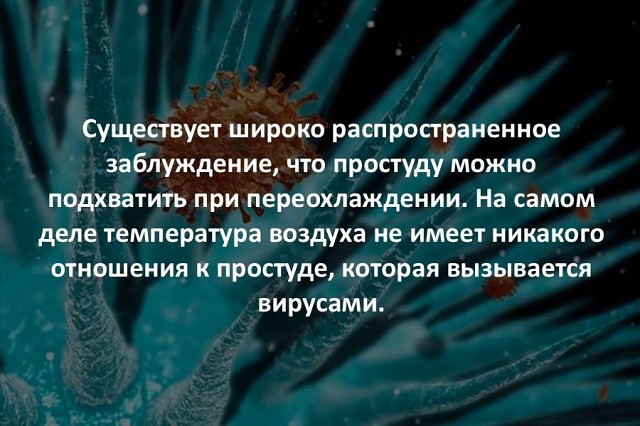 Заблуждение