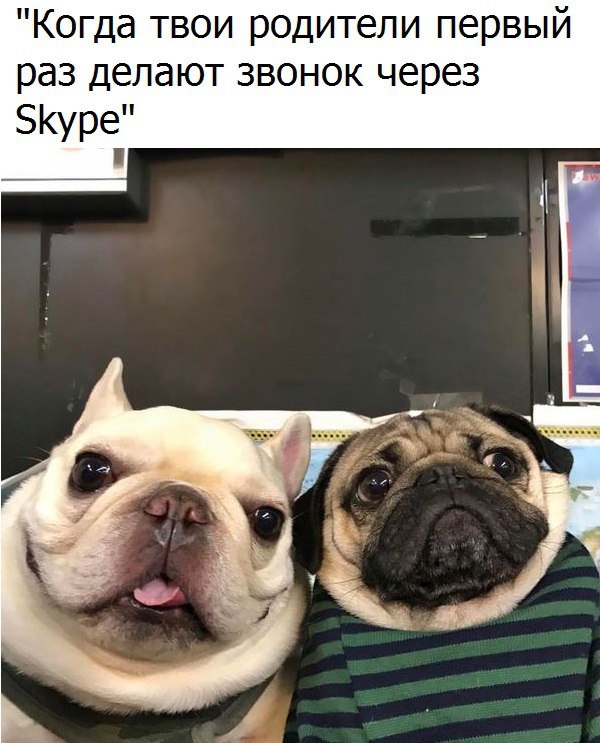 Родители