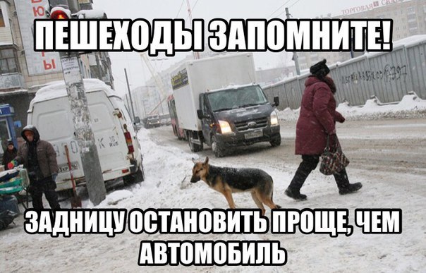 Задницу остановить проще, чем автомобиль
