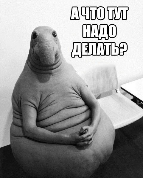 Первый день на работе
