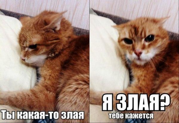 Тебе кажется