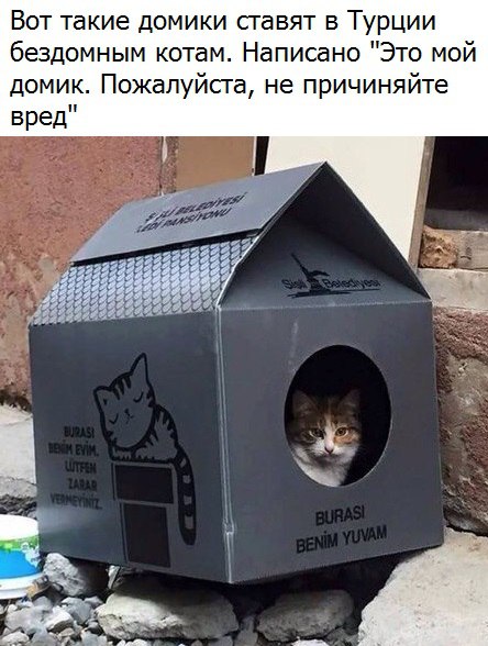 Турция
