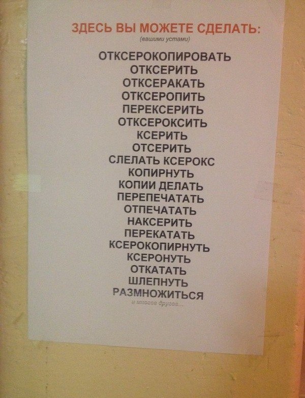 Здесь вы можете