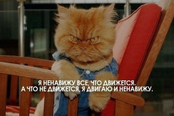 Ненавижу