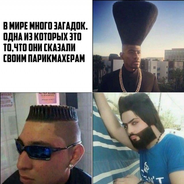 Что они сказали