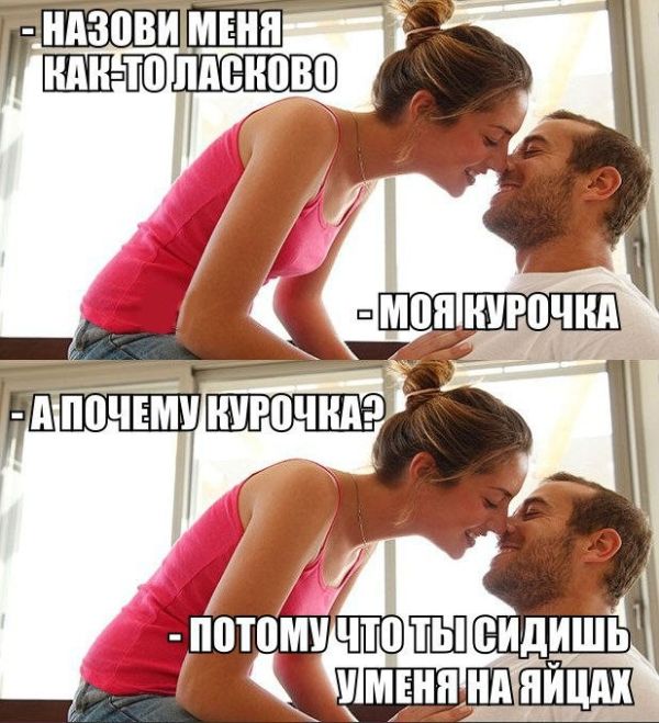 Курочка