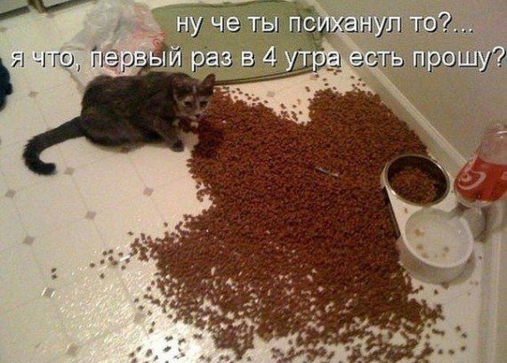 Ну чё ты