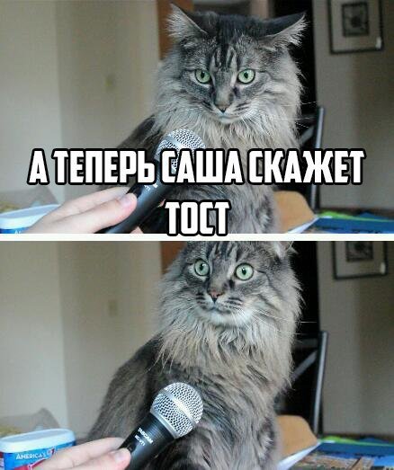 Тост