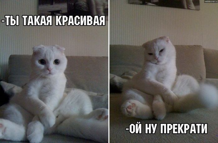 Такая красивая