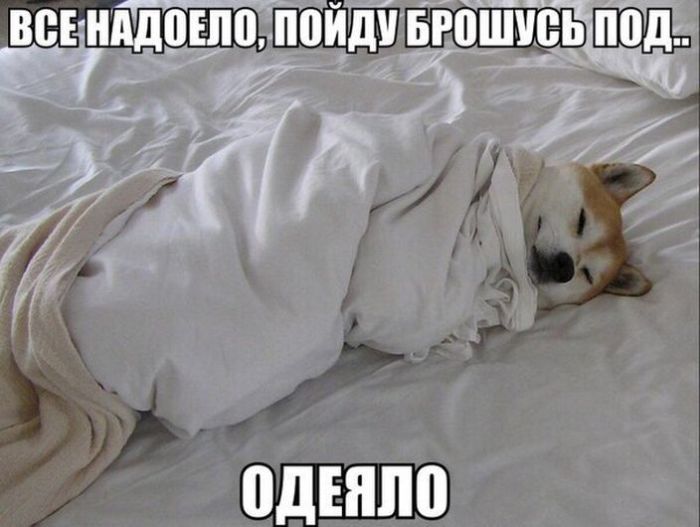 Брошусь