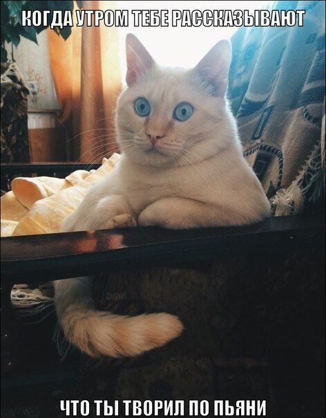 Натворил