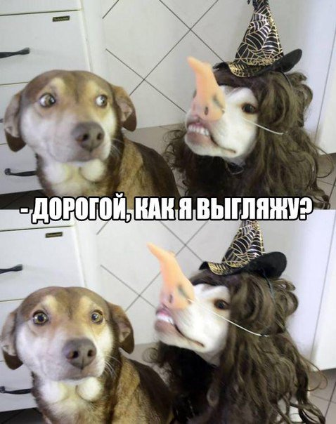 Нравится