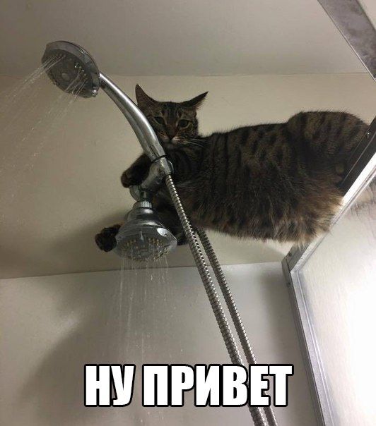 Привет