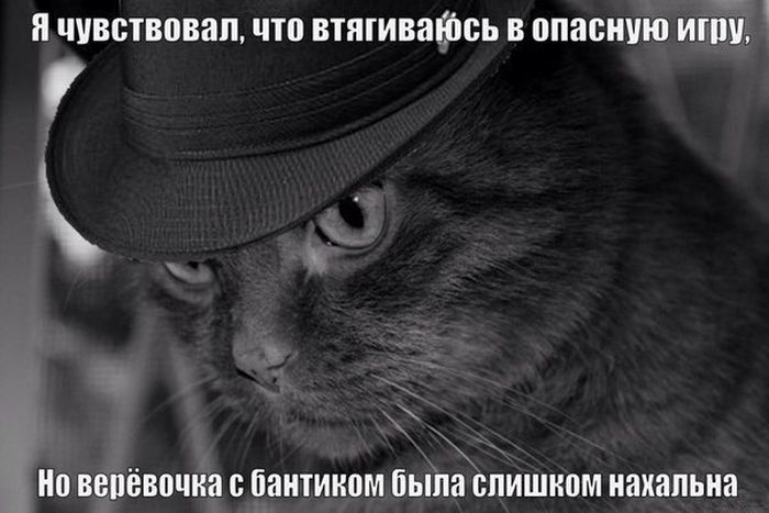 Чувствовал