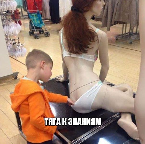 К знаниям