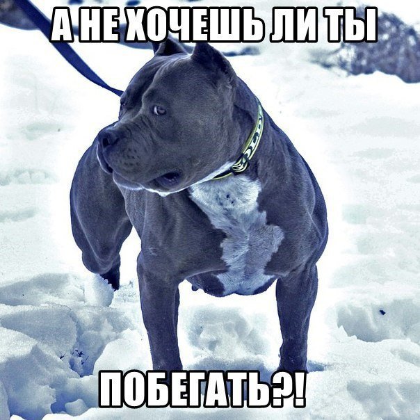 Побегаем