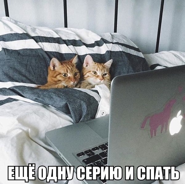 Сериальчик