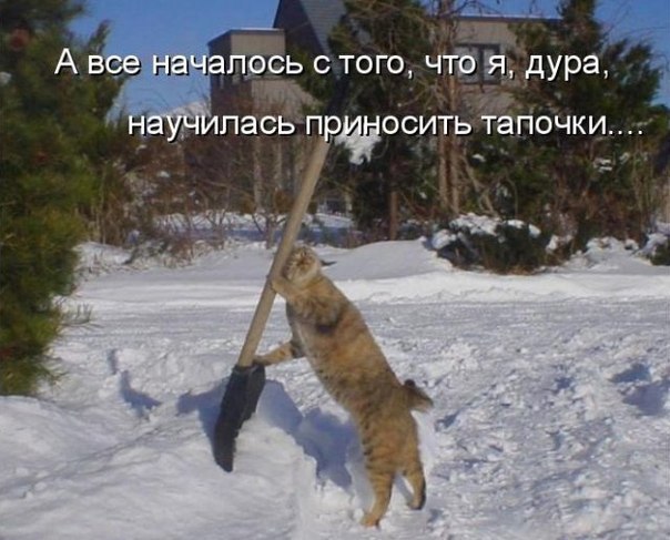 Помощница
