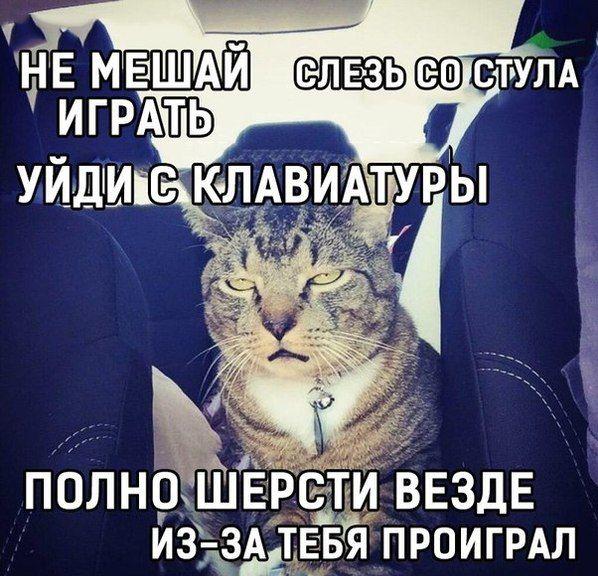 Достали
