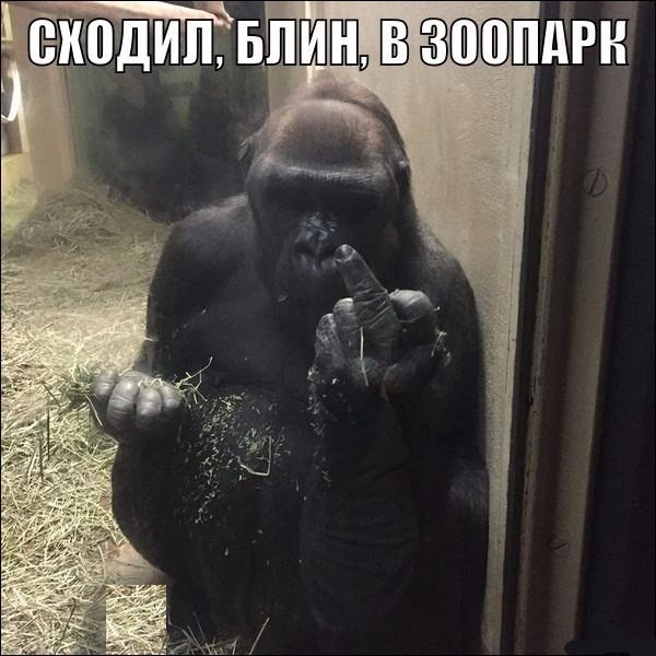 Зоопарк