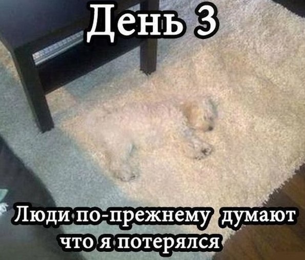 День 3