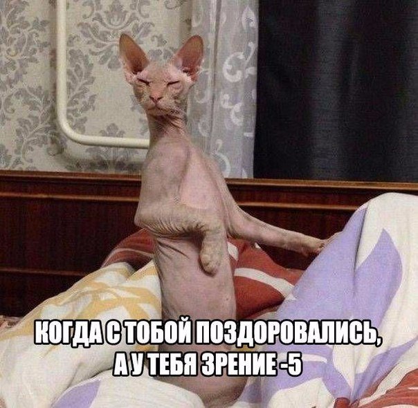 Кто ты