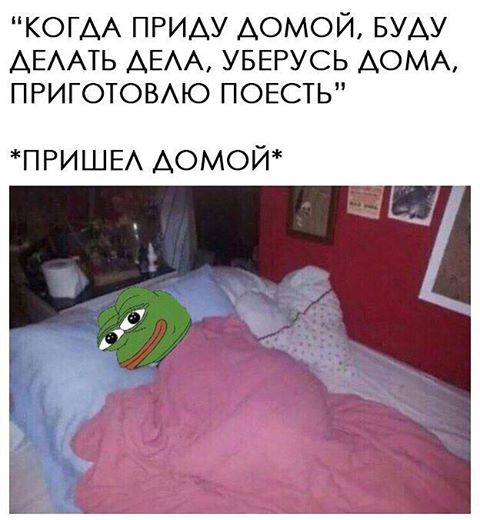 Столько дел