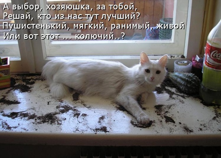 Кто лучший
