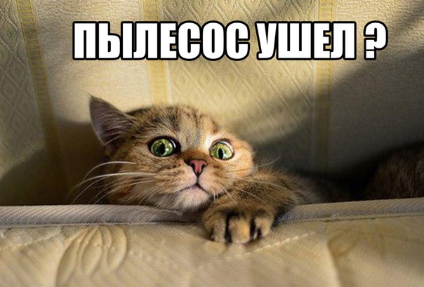 Пылесос