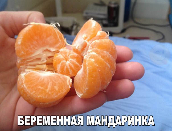 Беременная мандаринка