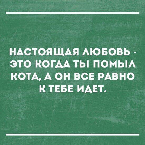 Настоящая любовь
