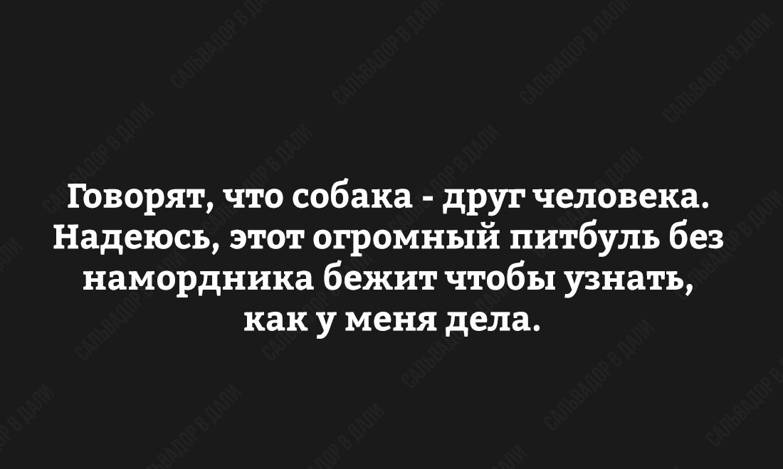 Питбуль