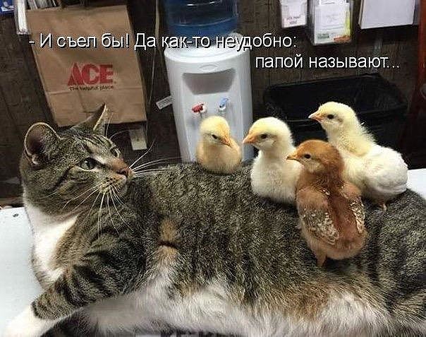 Отец