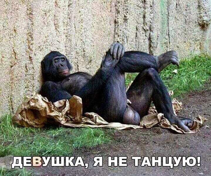 Не танцую
