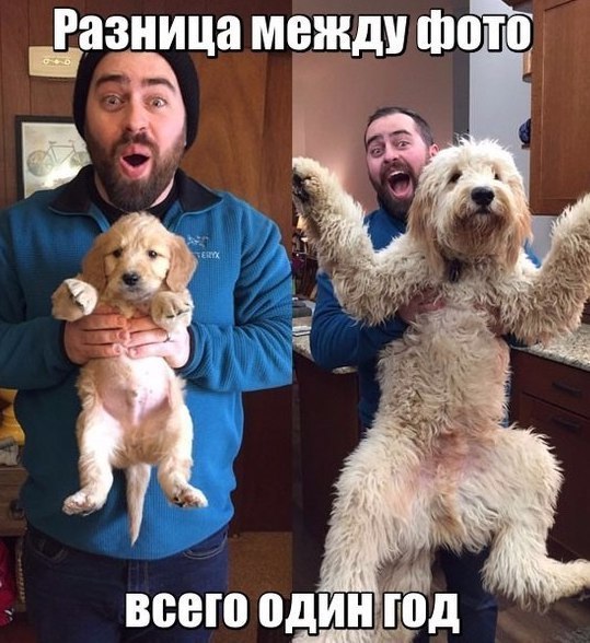 1 год