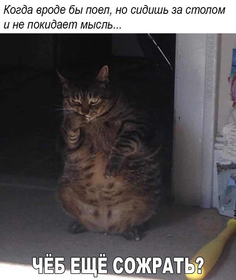 Чего сожрать