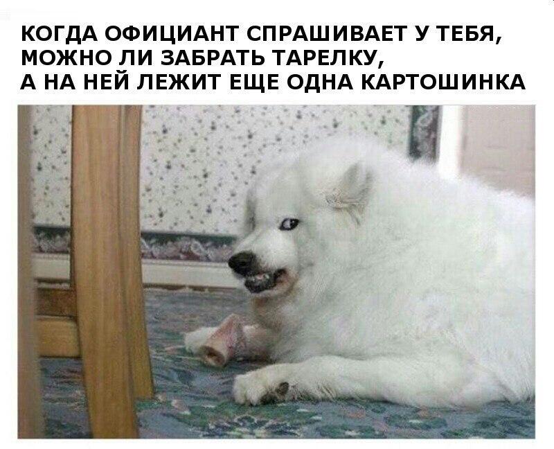 Официант
