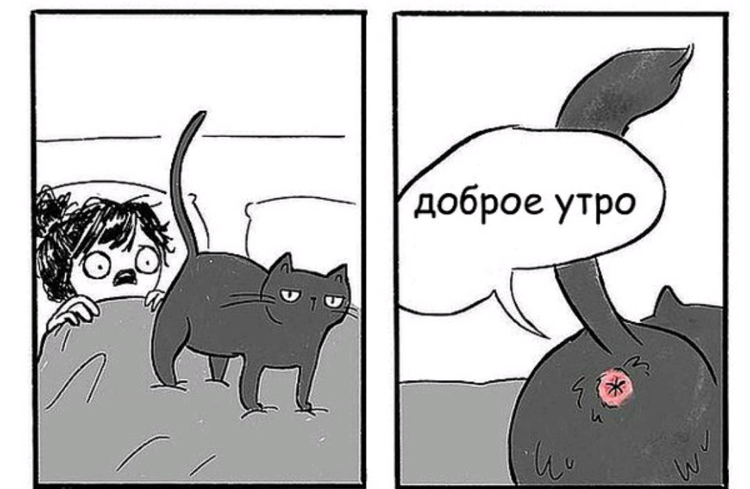 Доброе утро