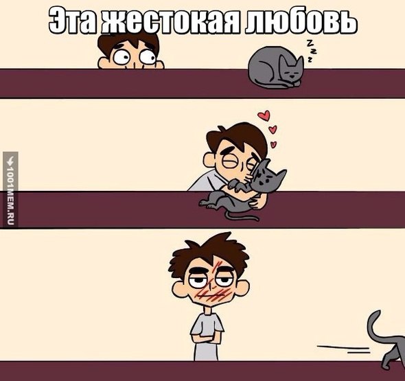Жестокая любовь