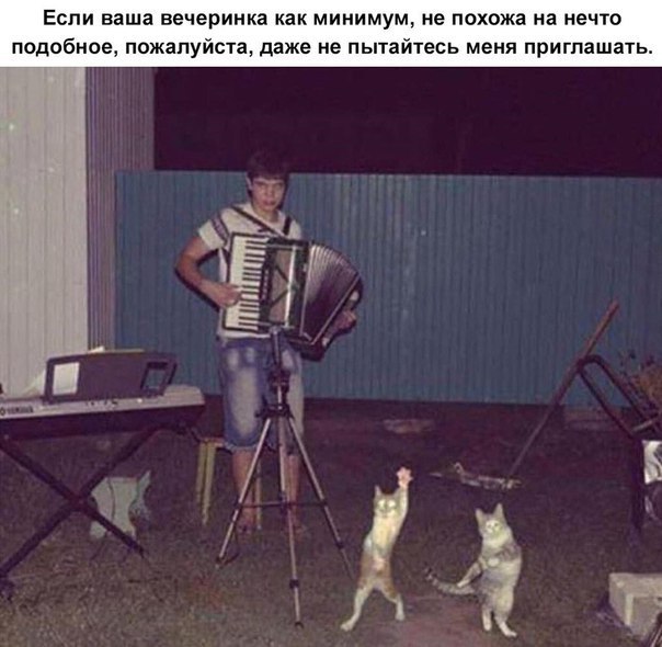 Вечеринка