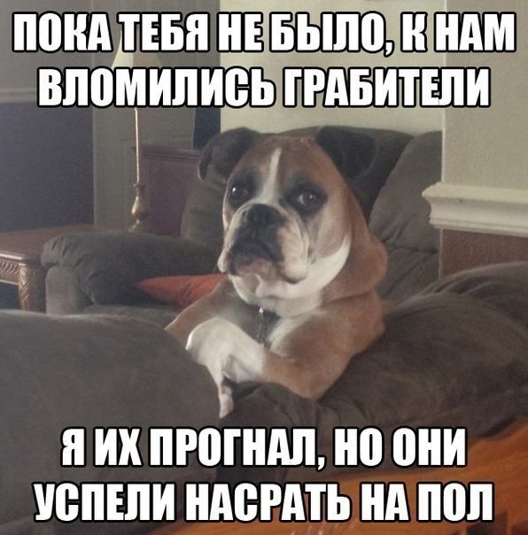Пока тебя не было