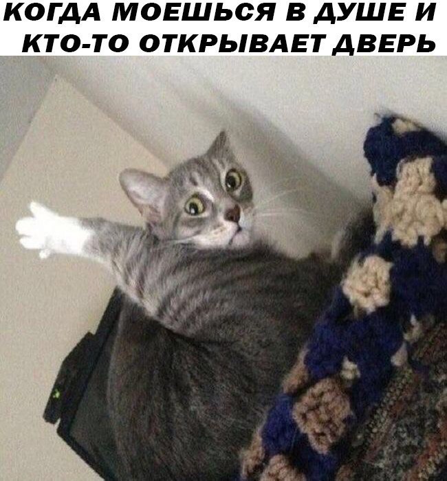 Внезапно