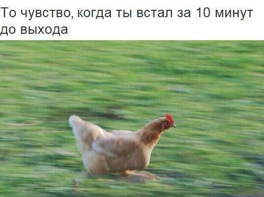 Проспал