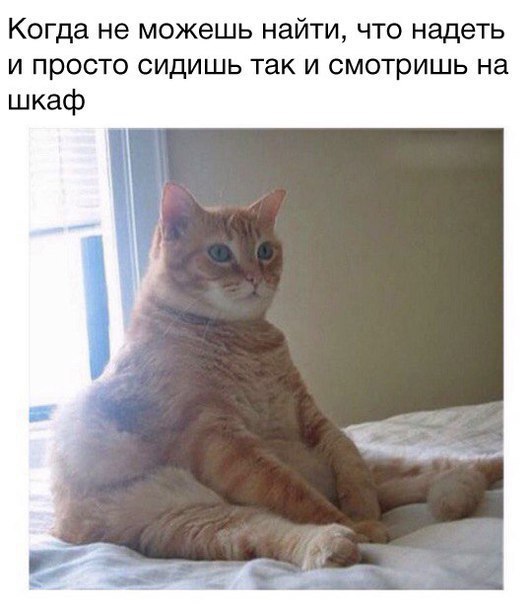 Нечего надеть